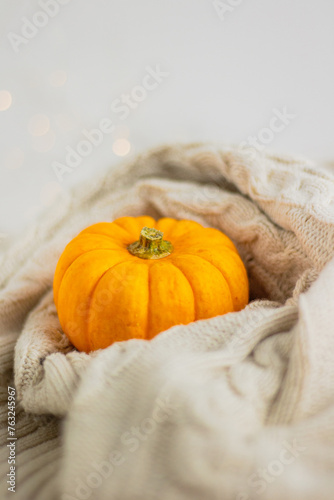 Beautiful little pumpkins on knitted pullover. Autumn season concept.