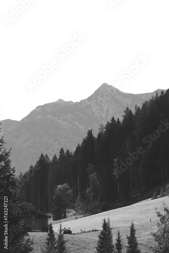 hut in the german alps