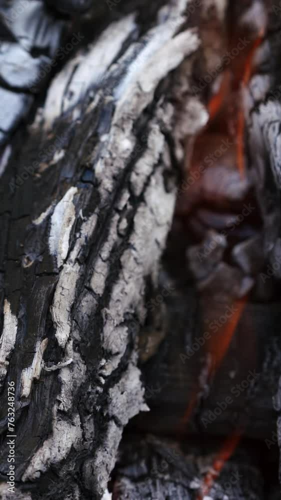 Smoldering ash in campfire. Embers of wood burning up in fire. Smoldering and burning wood fire. Close-up. Vertical video Smoldering ash in campfire. Embers of wood burning up in fire. Smoldering and burning wood fire. Close-up. Vertical video