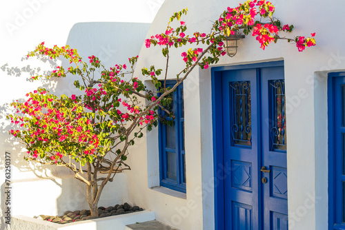 Fototapeta Naklejka Na Ścianę i Meble -  Bougainvillea in Santorini