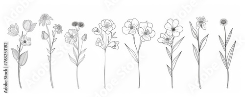 KS Floral branch and minimalist flowers for logo or tatto