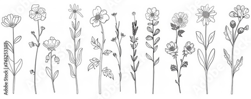 KS Floral branch and minimalist flowers for logo or tatto