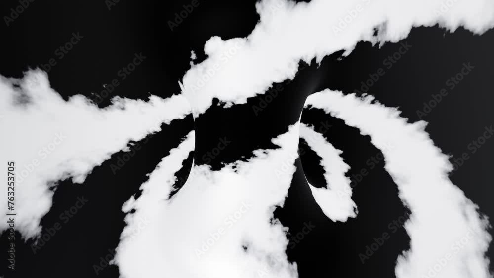 Abstract black and white torus vj loop animation Abstract black and white torus vj loop animation