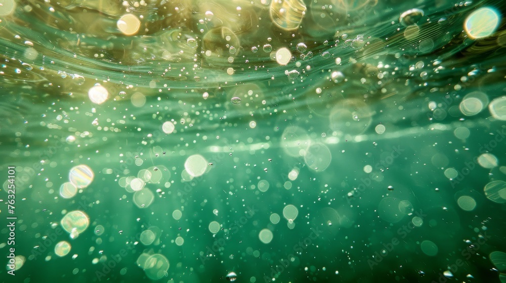 custom made wallpaper toronto digitalUnderwater bubbles and bokeh captured in the clear, green waters off the coast