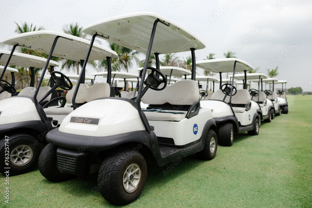 Many golf carts on the golf course are ready to serve golfers.