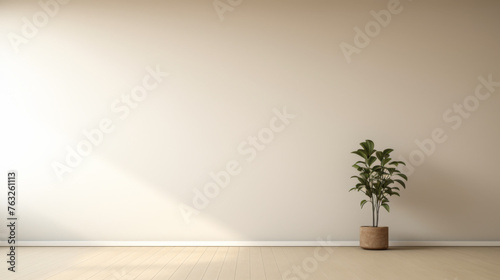A white wall with a plant in a brown pot. The plant is in the corner of the room