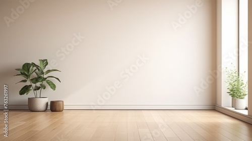 A large empty room with a white wall and a window. A potted plant sits in the corner of the room