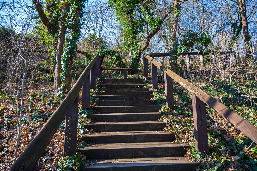 Wooden stairs with a railing in the autumn forest.