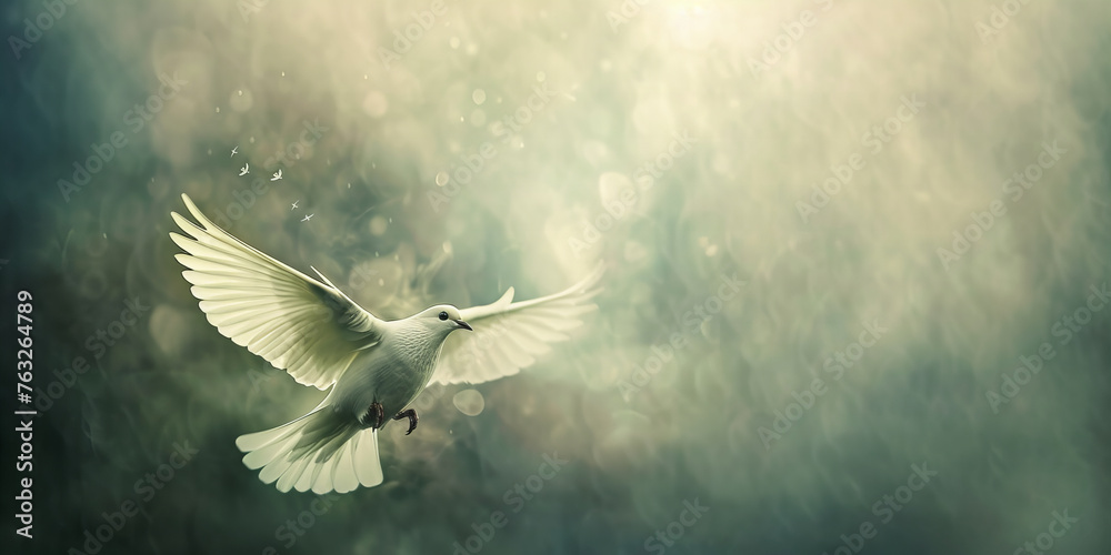 Majestic White Dove Gliding Through Misty Golden Light - Serenity Banner - obrazy, fototapety, plakaty 