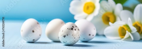 Quail eggs on a light blue background. white flowers, Easter background, banner.