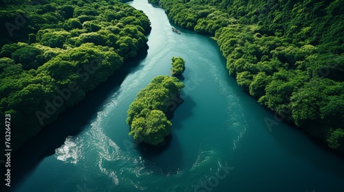 Aerial top view of lush mangrove forest shows the vital role in capturing co2 emissions photo
