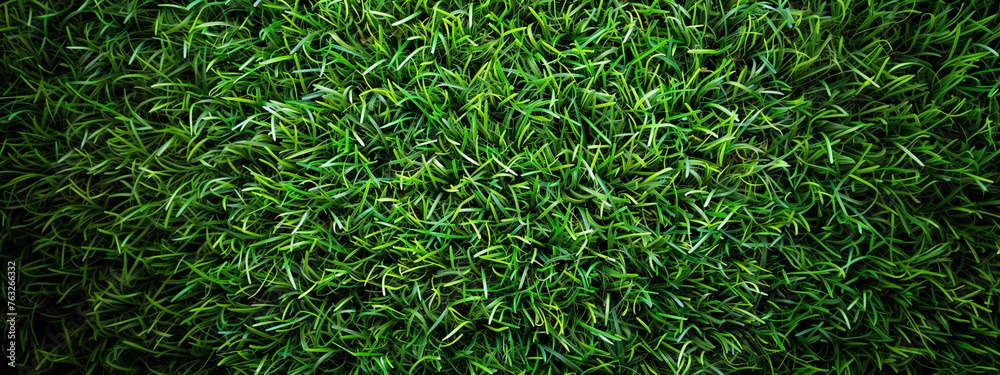 Green grass detail background overhead view. Green grass detail background overhead view.