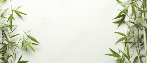 Green Bamboo Leaves Arranged Around the Edges of a Clean White Background