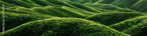 textured landscape of rolling hills in the fertile farmland