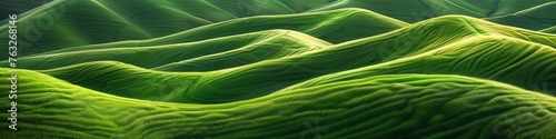 serene patterns and waves of green in a tranquil rural scene