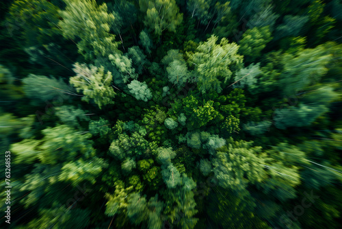 Forest and tree landscape texture abstract background. Texture of forest view from above.