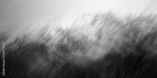Monochromatic Whispers of Wind in Tall Grasses - A Tranquil Banner