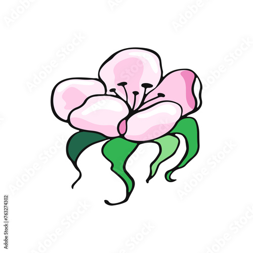 Big Pink Flower. Floral design. Hand drawn vector illustration