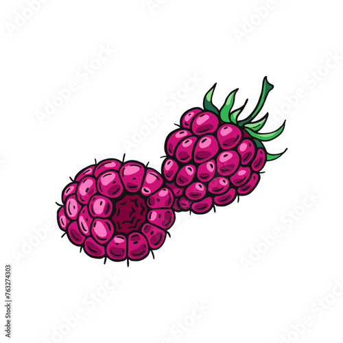 Two ripe pink raspberries. Color berries. Design of candies and sweet dessert . Vector illustration.