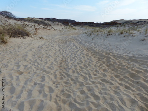 Paysage de dunes et de sables
