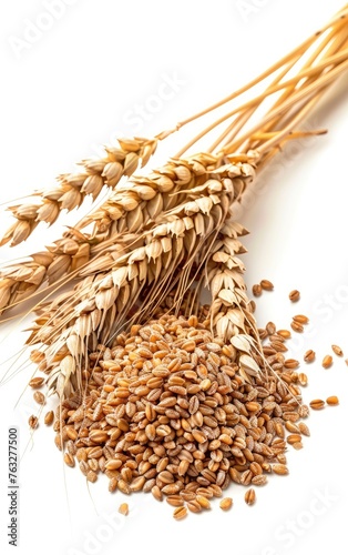 Portrait of wheat ears isolated on white background. Concept of food supply, carbs and nutrients. Generative AI