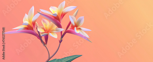 Strelitzia plumeria flower on orange gradient background, banner with copy space. Greeting cards, wedding invitation.