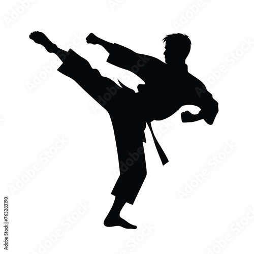 Martial Artist Executing High Kick