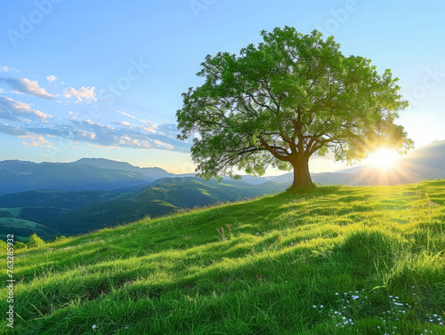 A large tree is standing in a grassy field with a clear blue sky above it