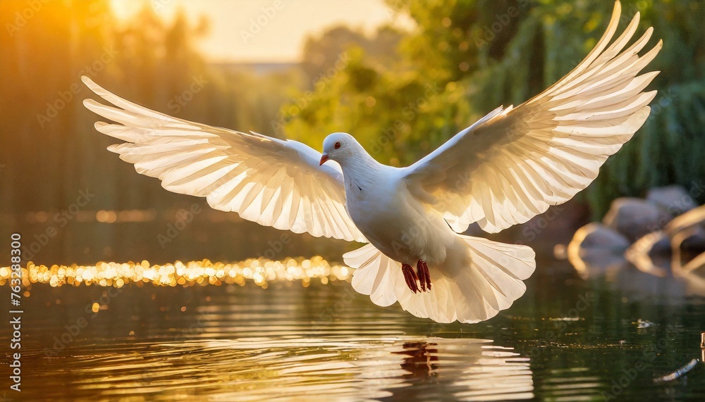 Obraz premium Holy Spirit: White Dove with Open Wings Above a Cailm Lake