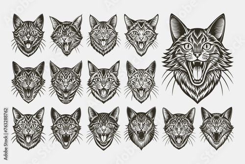 Funny meowing american bobtail cat in front view design vector set