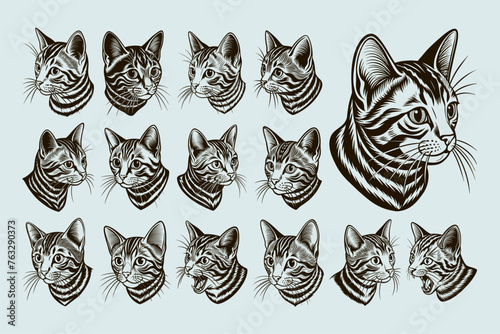 Flat engraving american shorthair cat head in side view design vector set