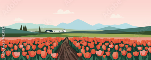 Farm landscape with tulips. Rustic landscape of fields of beautiful tulips against the backdrop of fields, farm, trees, mountains and hills. Flower meadow.