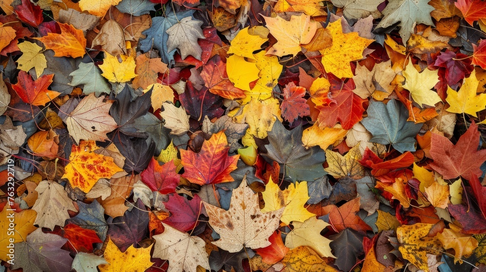 A cluster of autumn leaves scattered and resting on the ground, creating a carpet of varied colors and shapes A cluster of autumn leaves scattered and resting on the ground, creating a carpet of varied colors and shapes