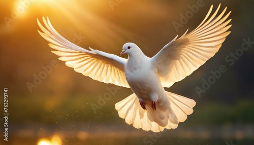 Holy Spirit  White Dove with Open Wings in Golden Aura