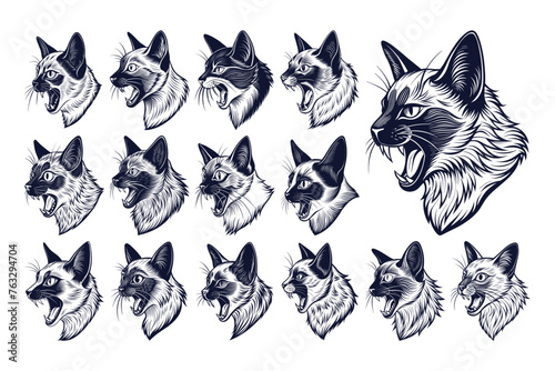 Flat detail meowing balinese cat head in side view design vector set