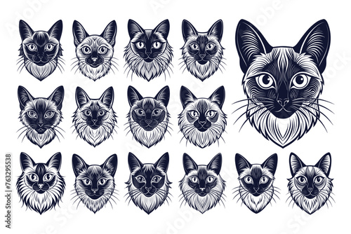 Front view of hand drawing balinese cat head illustration design bundle