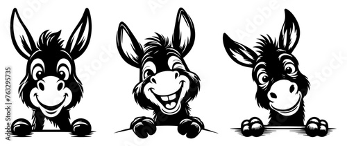 smiling childish baby donkey cute and playful black vector photo