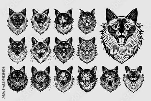 Flat cute meowing ragdoll cat head illustration design set