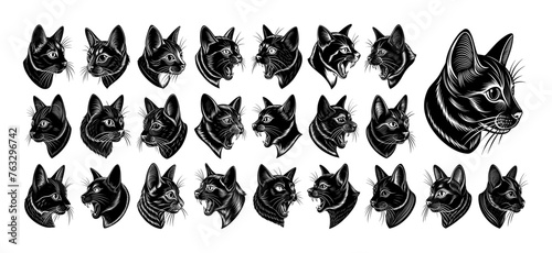 Collection of profile side view bombay cat head design vector