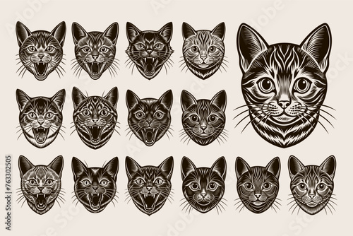 Front view of hand drawn meowing british shorthair cat design bundle