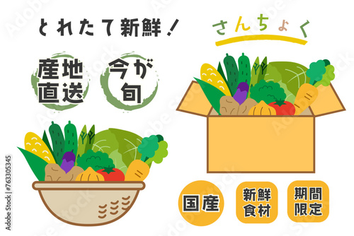 野菜　新鮮　産地直送　国産のイラスト