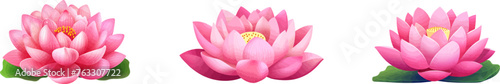 Set lotus flower icons. Simple pink lotus silhouette .Vector lotus icons collection.