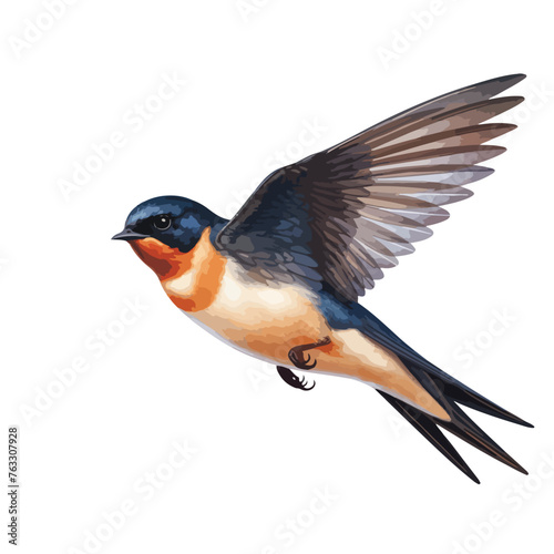 Barn Swallow clipart isolated on white background