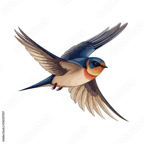 Barn Swallow clipart isolated on white background