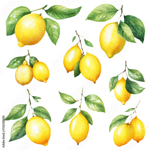 Bright yellow lemons hand-painted with lush green foliage