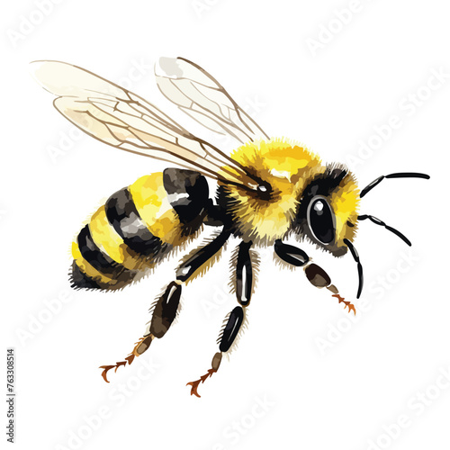 Bee single clipart isolated on white background © Ideas