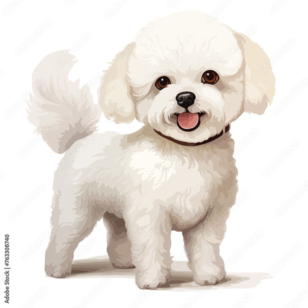 Fototapeta premium Bichon frise clipart isolated on white background