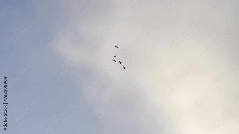Raven flock flying over rugged Iceland mountain peak, with audio