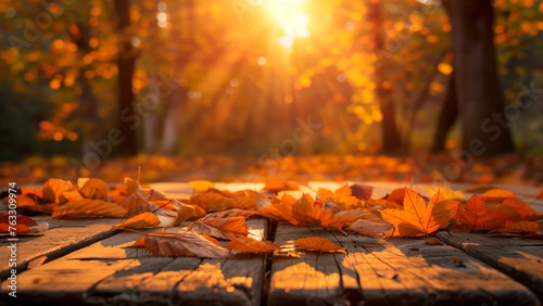 Autumnal Sunset: Orange Leaves on Wooden Table in Forest © 대연 김