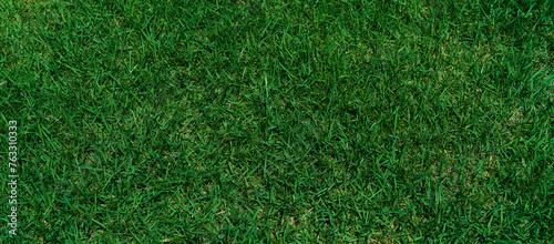Green grass texture background Close up, top view